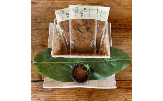 極わた塩辛 小パック 3パック【 惣菜 いかの塩辛 するめいか 珍味 おつまみ お取り寄せ 御中元 お中元 お歳暮 父の日 母の日 贈り物 日本酒 焼酎】【家庭用 自宅用 贈答品 贈答用 ギフト 神奈川県 小田原市 】