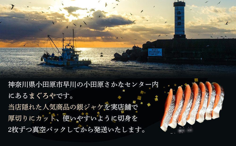 【中辛】厚切り銀鮭 半身1枚 約10枚切【鮭 塩鮭 サケ 焼き魚 魚 おつまみ 惣菜 海鮮 珍味 お取り寄せ 御中元 お中元 お歳暮 父の日 母の日 贈り物 日本酒 焼酎 神奈川県 小田原市 】
