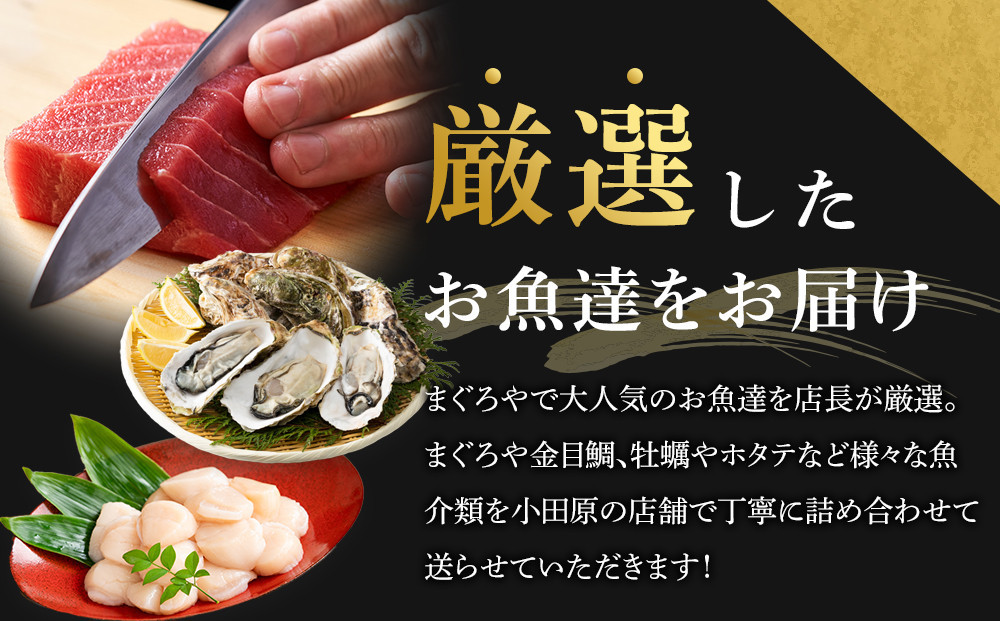 【定期便隔月6回】まぐろや　特別セット【 惣菜 まぐろ 鮪 本鮪 サーモン 海老 お刺身 海鮮 セット 福袋 キンメ きんめ お取り寄せ 御中元 お中元 お歳暮 父の日 母の日 贈り物 日本酒 焼酎】【 神奈川県 小田原市 】