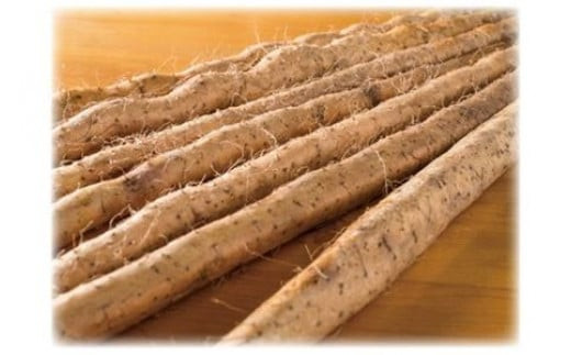 自然薯の味をお楽しみください。自然薯生とろろ100ｇ×５ｐセット【とろろ 極上とろろ 山芋 箱根 お家用 家庭用 国産 セット商品 自然薯 味付とろろ 神奈川県 小田原市 】