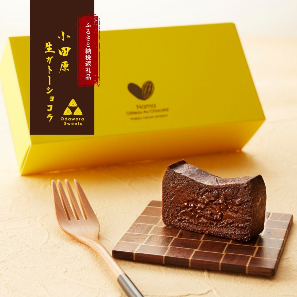 極上の口溶け。幸せの生ガトーショコラ 300g 2本セット【 高級 濃厚  極上スイーツ グルテンフリー チョコ ショコラテリーヌ 高品質クーベルチュールチョコレート使用 一流シェフ 神奈川県 小田原市 】