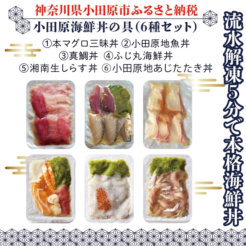 【高級食材本マグロ、曽我の梅干し、小田原地あじ、小田原港直送地魚丼、大磯港直送、湘南生しらす】小田原海鮮丼の具（6種セット）【本まぐろ丼 小田原地魚丼 小田原地あじたたき丼 国産活〆真鯛入り酒仕込み 神奈川県 小田原市 】