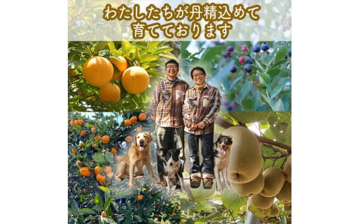 手づくりジャムソース 4本セット 手作りみかん キウイ あまなつ ブルーベリー 125ml 詰め合わせ ギフト 【 家庭用 自宅用 贈答品 贈答用 ギフト お取り寄せ お中元 お歳暮 贈り物 お祝い 神奈川県 小田原市 】