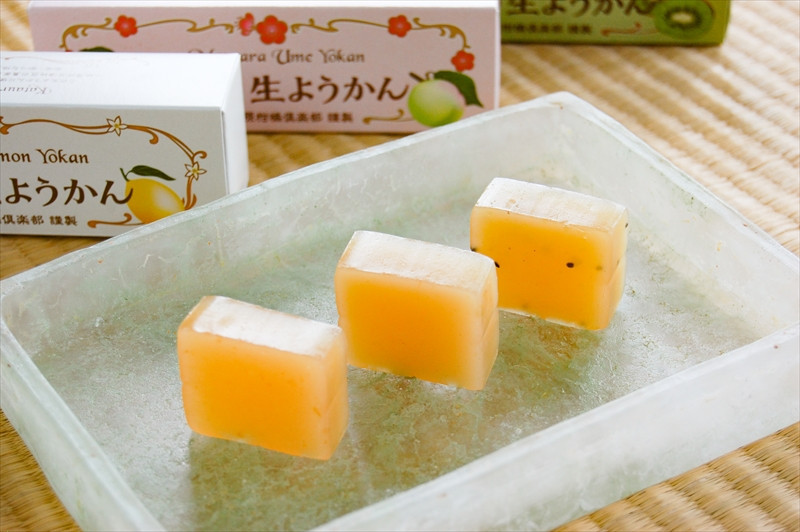 【さっぱりとした現代感覚のフルーツ生ようかんセット】（片浦レモン、小田原キウイ、ジンジャー入り小田原梅 各1本）創業昭和10年 小田原 伊勢屋【 和菓子店 ようかん 神奈川県指定銘菓 神奈川県 小田原市 】