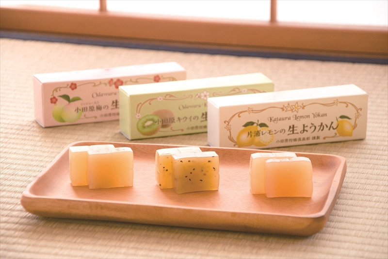 小田原老舗和菓子店の手づくりようかん5本セット【和菓子店　手づくりようかん5本セット レモンようかん　フルーツようかん 足柄茶ようかん 本練ようかん キウイようかん 梅ようかん 神奈川県指定銘菓 神奈川県 小田原市 】