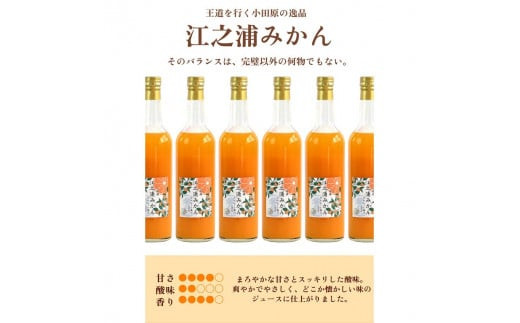 ギフトセット５００ml２本入り 小田原産江之浦みかん１００％ストレートジュース５００ml２本