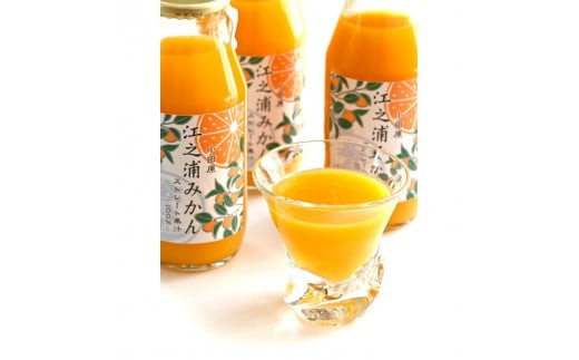 【定期便 （2カ月ごと全6回）】小田原産江之浦みかん１００％ストレートジュース５００ml６本