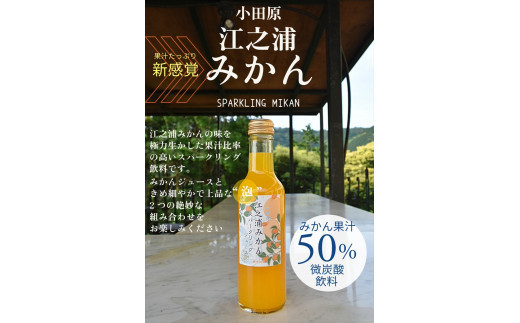 【定期便 9回】 小田原産江之浦みかんスパークリング果汁入り飲料果汁５０％２００ml３０本