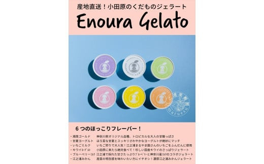 小田原産江之浦ジェラート６種（みかん、湘南ゴールド、ブルーベリーミルク、いちごミルク、キウイヨーグルト、甘夏ヨーグルト）120mlカップ各３個合計１８個