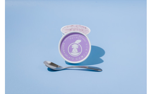 【定期便（2カ月ごと全3回）】小田原産江之浦ジェラート６種（みかん、湘南ゴールド、ブルーベリーミルク、いちごミルク、キウイヨーグルト、甘夏ヨーグルト）120mlカップ各１個合計６個