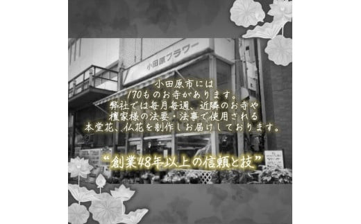 【“48年以上の信頼と技”詳しくは画像をお読みください】選べるお供え・お悔やみ・法要【 花 お花 神奈川県 小田原市 】