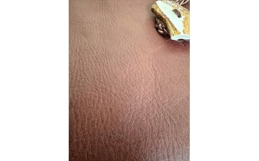 鹿の角ボタンのウォーカーズサコッシュ(ブラウン)【 神奈川県 小田原市 】