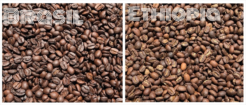 スペシャルティコーヒー 飲み比べセット【ドリップパック】 6種×4（２４個）【 コーヒー 神奈川県 小田原市 】