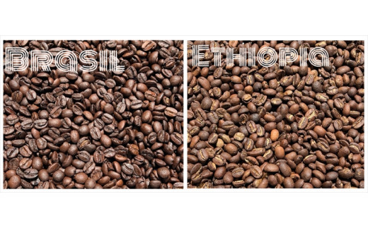 スペシャルティコーヒー 飲み比べセット【豆】 （５０g×６個）【 コーヒー 神奈川県 小田原市 】