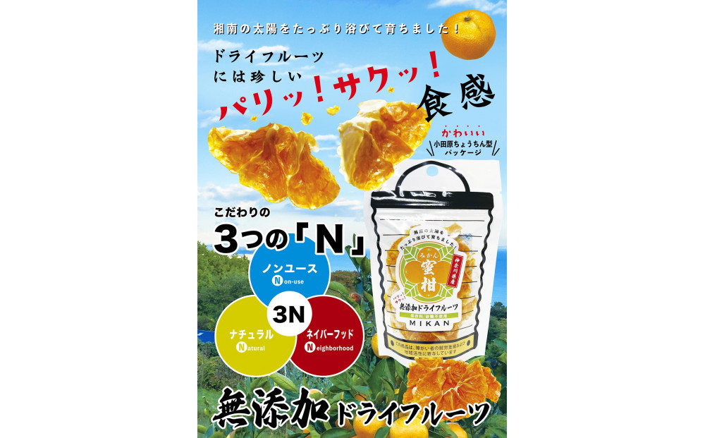 無添加ドライフルーツ(キウイ)16g×2袋入【 神奈川県小田原市 】