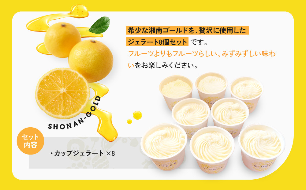 湘南ゴールドジェラート8個セット