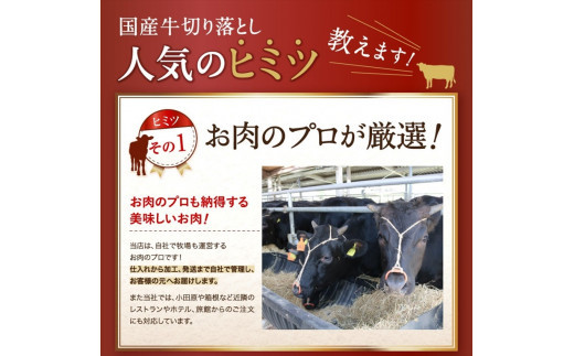 国産牛切落とし1ｋｇ（500ｇ×2）【牛肉 国産 お肉 神奈川県 小田原市 】