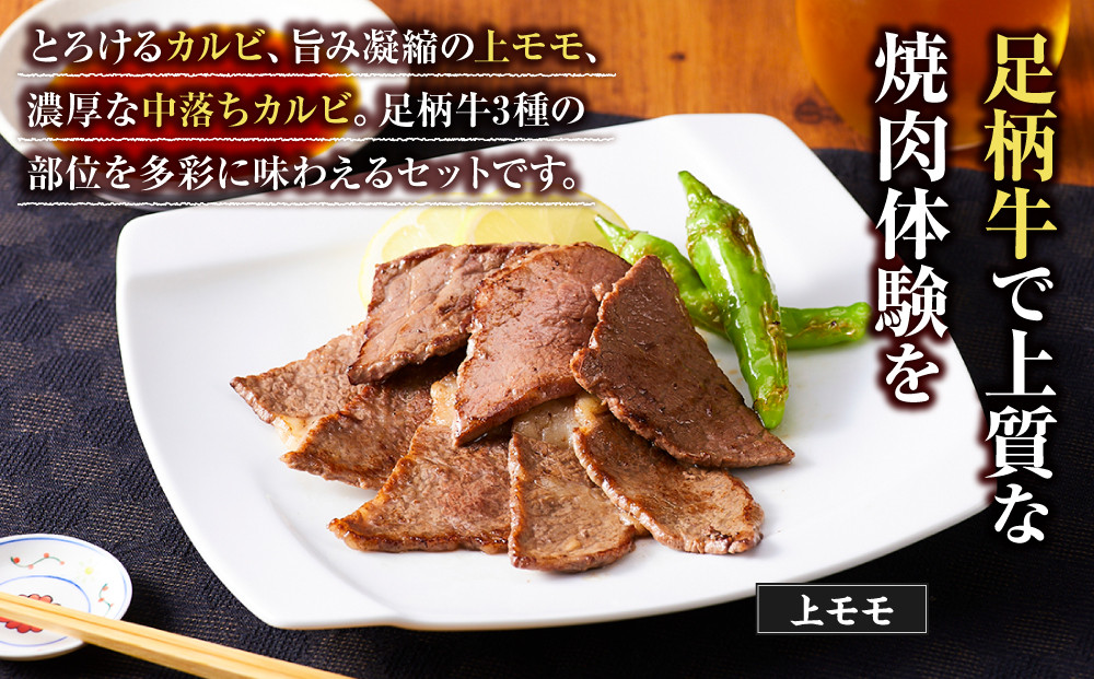 足柄牛3種焼肉セット（カルビ　上モモ　中落カルビ各250ｇ）【 肉 国産  神奈川県 小田原市 】