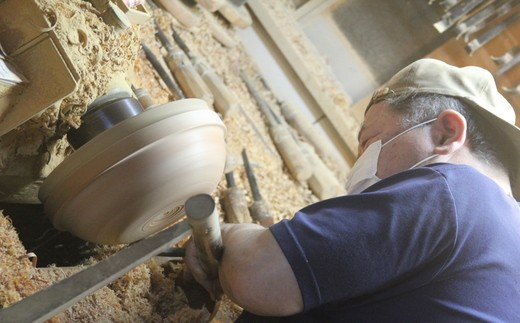 Zelkova バルク　8寸【お皿 キッチン用品 食器 雑貨 日用品 φ24cm×高さ3cm 木製食器 国産ケヤキ  工芸品 職人の手作り おしゃれ食器 神奈川県 小田原市 】