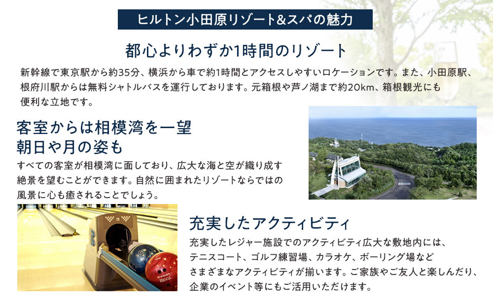 ヒルトン・スーペリア・ツインルーム宿泊プラン　1泊夕朝食付き＜1組2名様＞★オーシャンビュー！天然温泉大浴場、プール施設利用含む【オーシャンビュー フィットネス 天然温泉大浴場 バーデゾーン ヒルトン 神奈川県 小田原市 】●