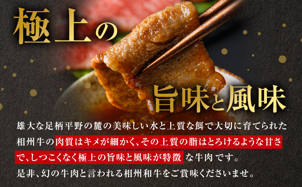【牛肉 定期便 12回】 幻の相州黒毛和牛肩肉 1.2kg×12回 計14.4kg【相州黒毛和牛 相州牛 幻の牛肉 極上の旨味と風味 キメ細かな上質の脂 様々な料理に ブランド牛 ブランド牛肉 神奈川県 小田原市 】