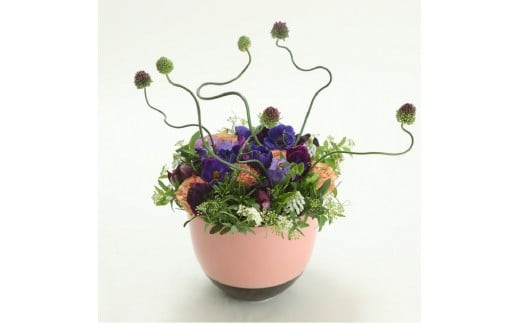 季節ごとに届く、えらべるお花　Sサイズ（4回お届け）【季節ごとに届く、えらべるお花 Sサイズ フラワーライフ 世界らん展 フラワードリームジャパンカップ フラワーアレンジメント 6種類のフラワースタイル 神奈川県 小田原市 】