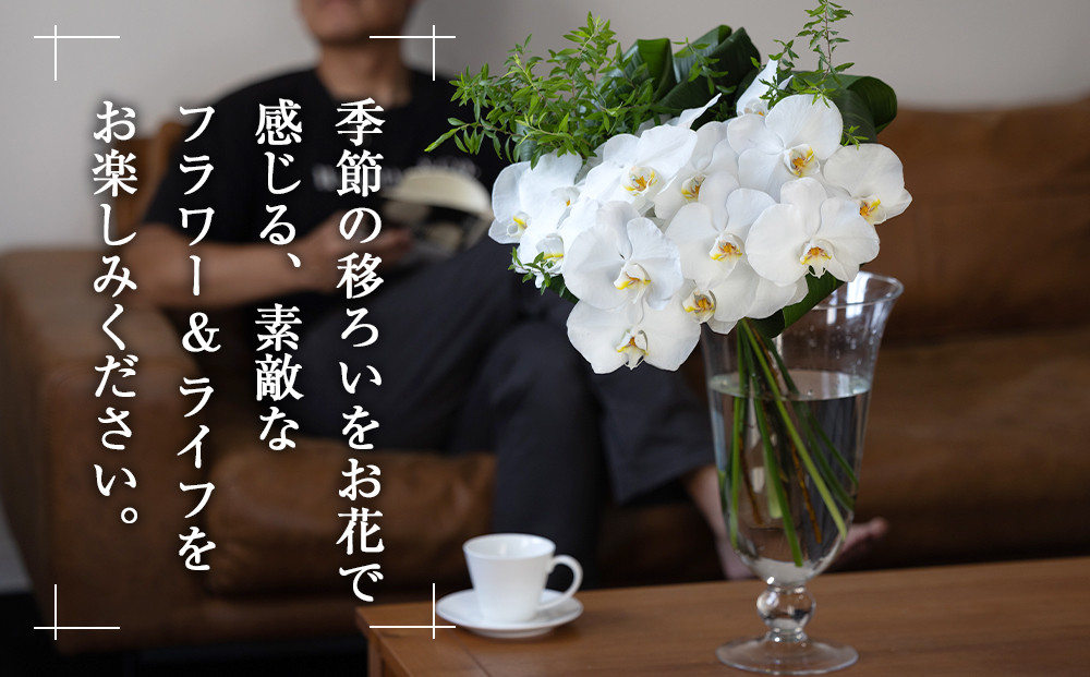 【「毎週」届く、旬の花束（52回／1年間）【「毎週」届く、旬の花束 52回 世界らん展 フラワードリームジャパンカップ 国内主要コンテスト受賞 贈り物 お花の定期便 １年間届く花束 フラワーライフ 神奈川県 小田原市 】