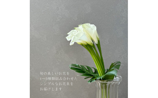 【月2回（全24回）】《数量限定・花瓶付き》～スタンダードstyle～季節の花束定期便（全24回）月2回お届け×12カ月【 花 お花 神奈川県 小田原市 】