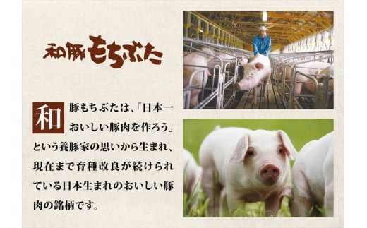 和豚もちぶた使用特選焼豚【 惣菜 おかず 家庭用 自宅用 贈答品 贈答用 ギフト お取り寄せ お中元 お歳暮 贈り物 神奈川県 小田原市 】