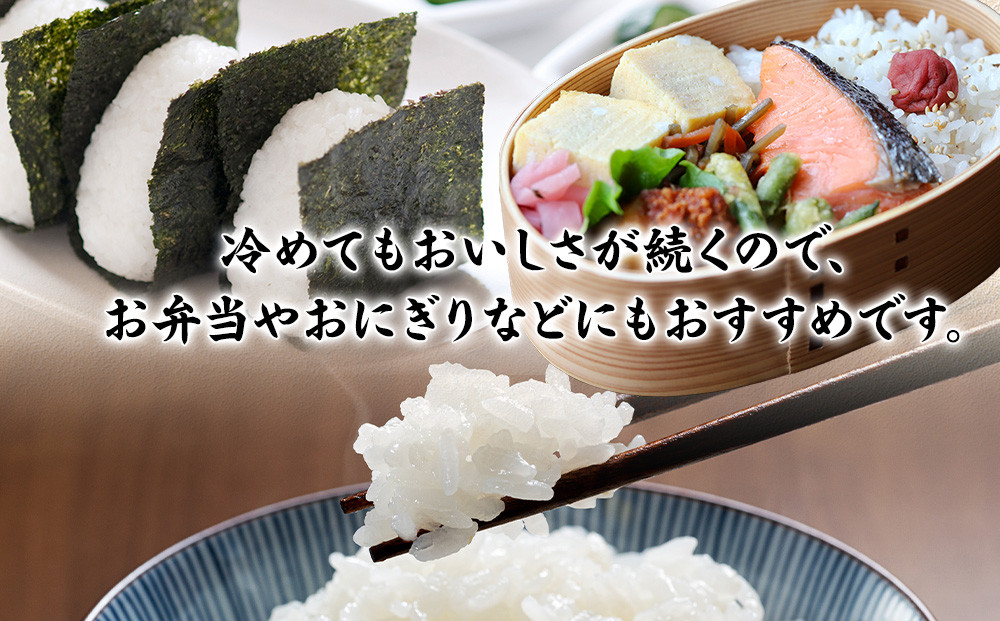 令和7年新米毎月お届け　定期便　富水米　精米　5kg×10か月　にこまる