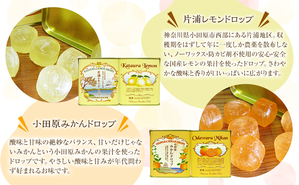 【小田原の柑橘果汁を使ったドロップ3種類セット】口に入れるとフルーツの香りが広がるドロップ。【 ドロップ 神奈川県 小田原市 】
