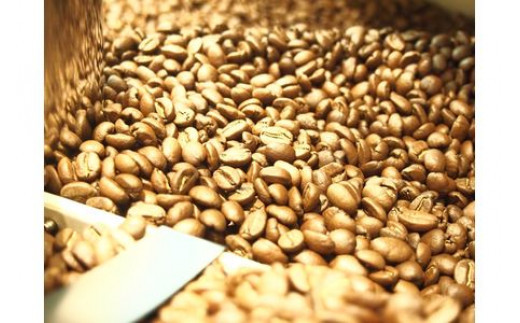 菜の花リキッドコーヒーセット【自宅用 贈答品 贈答用 ギフト お取り寄せ お中元 お歳暮 贈り物 プレゼント コーヒー 珈琲 飲み比べ 自家焙煎珈琲 ブレンドリキッド 神奈川県 小田原市 】