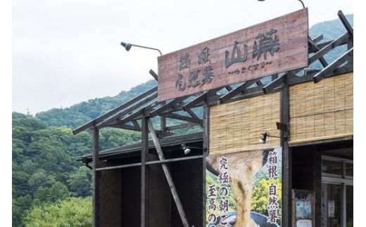 お店の味をご家庭で。【箱根自然薯の森 山薬】自然薯セット(2～3人前×2回分)【とろろ 極上とろろ 山芋 箱根 お家用 家庭用 国産 セット商品 自然薯 神奈川県 小田原市 】