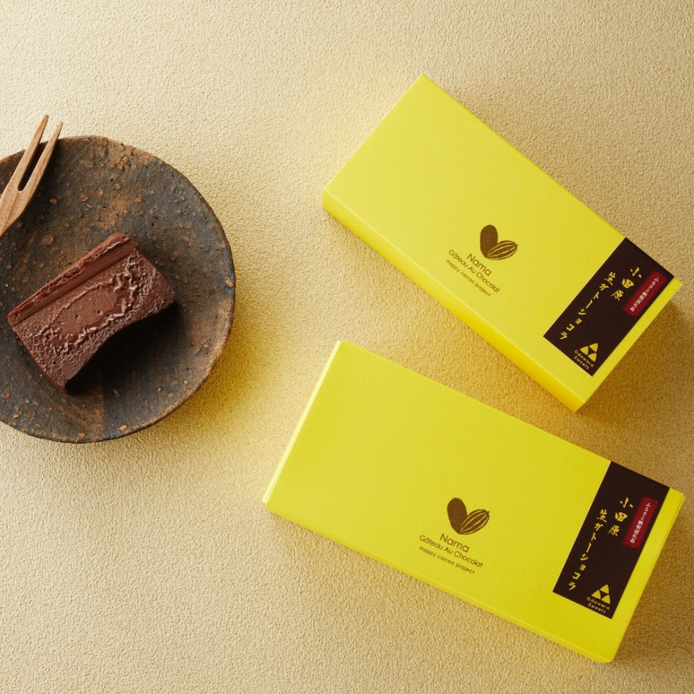 極上の口溶け。幸せの生ガトーショコラ 450g 2本セット【 高級 濃厚  極上スイーツ グルテンフリー チョコ ショコラテリーヌ 高品質クーベルチュールチョコレート使用 一流シェフ 神奈川県 小田原市 】