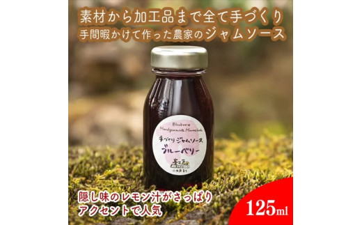 手づくりジャムソース 8本セット 手作りみかん キウイ あまなつ ブルーベリー 125ml 詰め合わせ ギフト 【 家庭用 自宅用 贈答品 贈答用 ギフト お取り寄せ お中元 お歳暮 贈り物 お祝い 神奈川県 小田原市 】