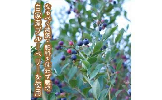 スイスで加工品を学んだ農家が作った手づくりジャムソース 16本セット 手作りみかん キウイ あまなつ ブルーベリー他 125ml 詰め合わせ ギフト【 家庭用 自宅用 贈答品 贈答用 ギフト お取り寄せ お中元 お歳暮 贈り物 お祝い 神奈川県 小田原市 】