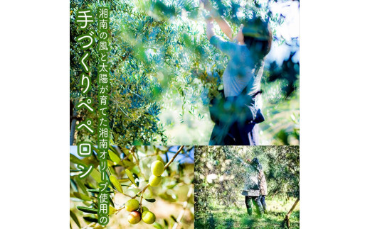 しいたけペペロン　6個セット【 家庭用 自宅用 贈答品 贈答用 ギフト お取り寄せ お中元 お歳暮 贈り物 お祝い 神奈川県 小田原市 】