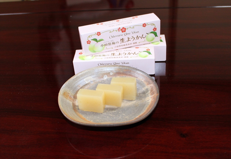 小田原老舗和菓子店の手づくり小田原梅の生ようかん【和菓子店 手作りようかん 小田原梅の生ようかん  職人の手作り 銘菓　梅 和スイーツ  神奈川県 小田原市 】