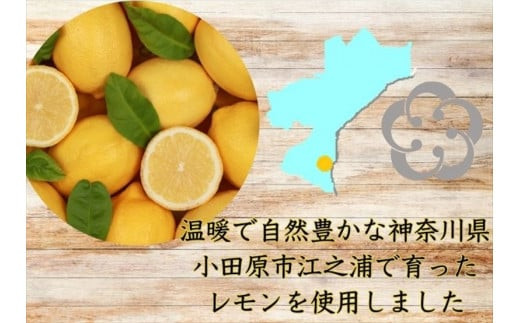 西湘菓子工房樫の樹　江ノ浦れもん10個入りギフト 【 お菓子 スイーツ 神奈川県 小田原市 】
