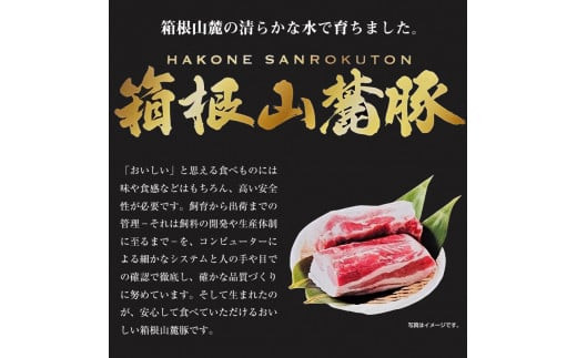 【定期便３ヵ月】箱根山麓豚　モモ・ウデ切り落とし３K盛り(500ｇ×６パック)【 箱根山麓豚 切り落とし 神奈川県 小田原市 】