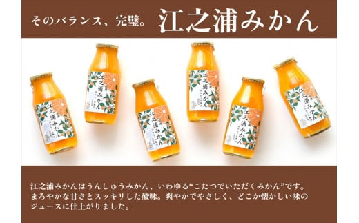 【定期便 （2カ月ごと全4回）】小田原産江之浦みかん１００％ストレートジュース５００ml６本
