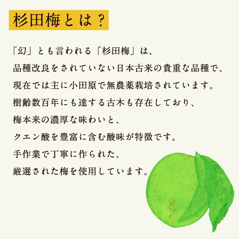 【３本セット】濃厚梅エキスと漢方のシロップ「うめびん（杉田梅） by Kampo Kitchen」【 家庭用 自宅用 贈答品 贈答用 ギフト お取り寄せ お中元 お歳暮 贈り物 お祝い 神奈川県 小田原市 】
