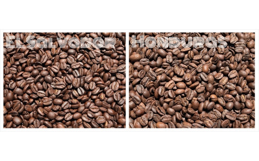 スペシャルティコーヒー 飲み比べセット【粉】 （５０g×６個）【 コーヒー 神奈川県 小田原市 】