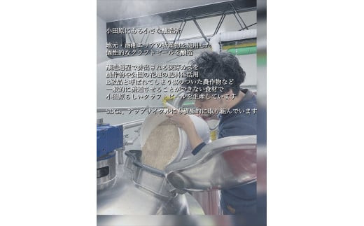 季節限定　小田原クラフトビール3種　【定期便：3カ月に1回 計4回お届け】   クラフトビール・地ビール【 ビール お酒 神奈川県 小田原市 】