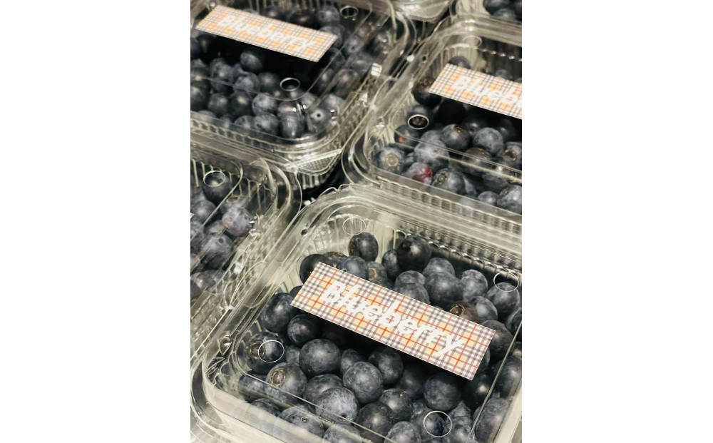 【農薬不使用】 手摘み生ブルーベリー 1kg