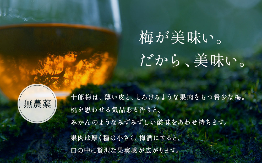 【小田原・曽我の最高傑作「十郎梅」使用梅酒】THE HEALING LIQUEUR SOGA