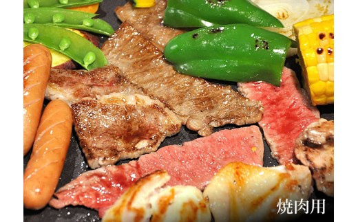 【牛肉 定期便 6回】 幻の相州黒毛和牛肩肉 1.2kg×6回 計7.2kg【相州黒毛和牛 相州牛 幻の牛肉 極上の旨味と風味 キメ細かな上質の脂 様々な料理に ブランド牛 ブランド牛肉 神奈川特産品 神奈川県 小田原市 】