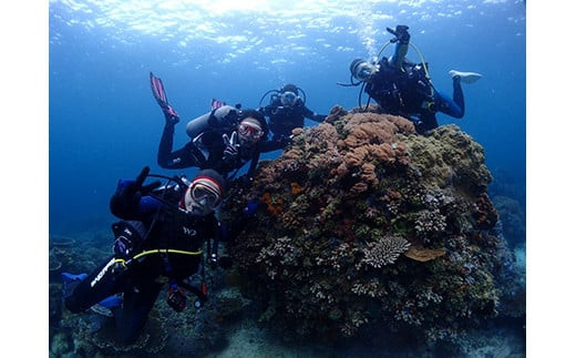 小田原ダイビングスクール 共通クーポン券 150,000円分