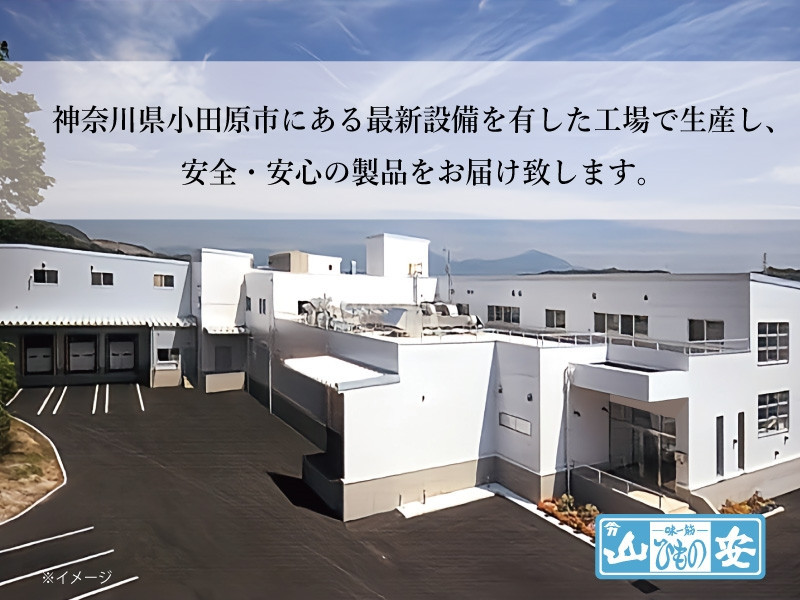 【 小田原 山安 】老舗の極干物 詰め合わせ４種 (10枚) 【 縞ほっけ開き干し 真あじ開き干し 金目鯛開き干し いか開き干し 干物 詰合せ 神奈川県 小田原市 】