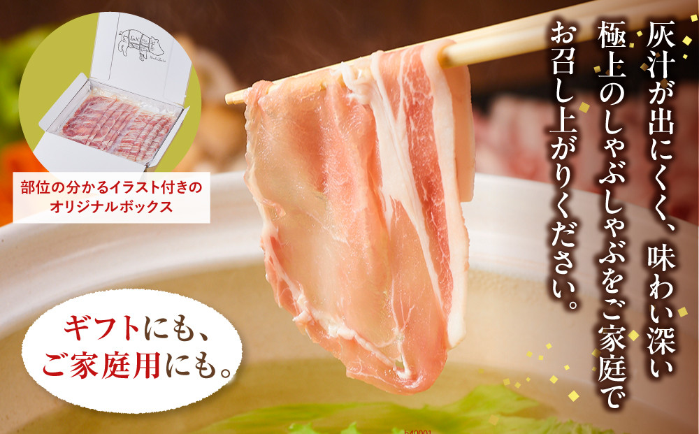 和豚もちぶたしゃぶしゃぶセット 合計800g（ロース バラ）ふるさと納税 【小分け 豚肉 ポーク 豚しゃぶ しゃぶしゃぶ肉 冷凍 和豚もちぶた こだわりの豚肉 おいしい豚 贈り物 贈答品 ご褒美 神奈川県 小田原市 】